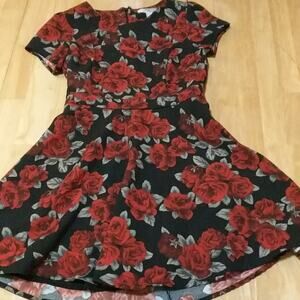 Rose Floral Skater Dress Grunge Soft Goth SM